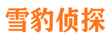 西区侦探公司